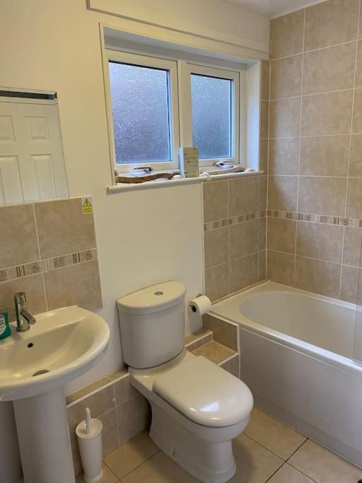 3 Bedroom Lodge With Hot Tub On Lovely Quiet Holiday Park In Cornwall Gunnislake المظهر الخارجي الصورة
